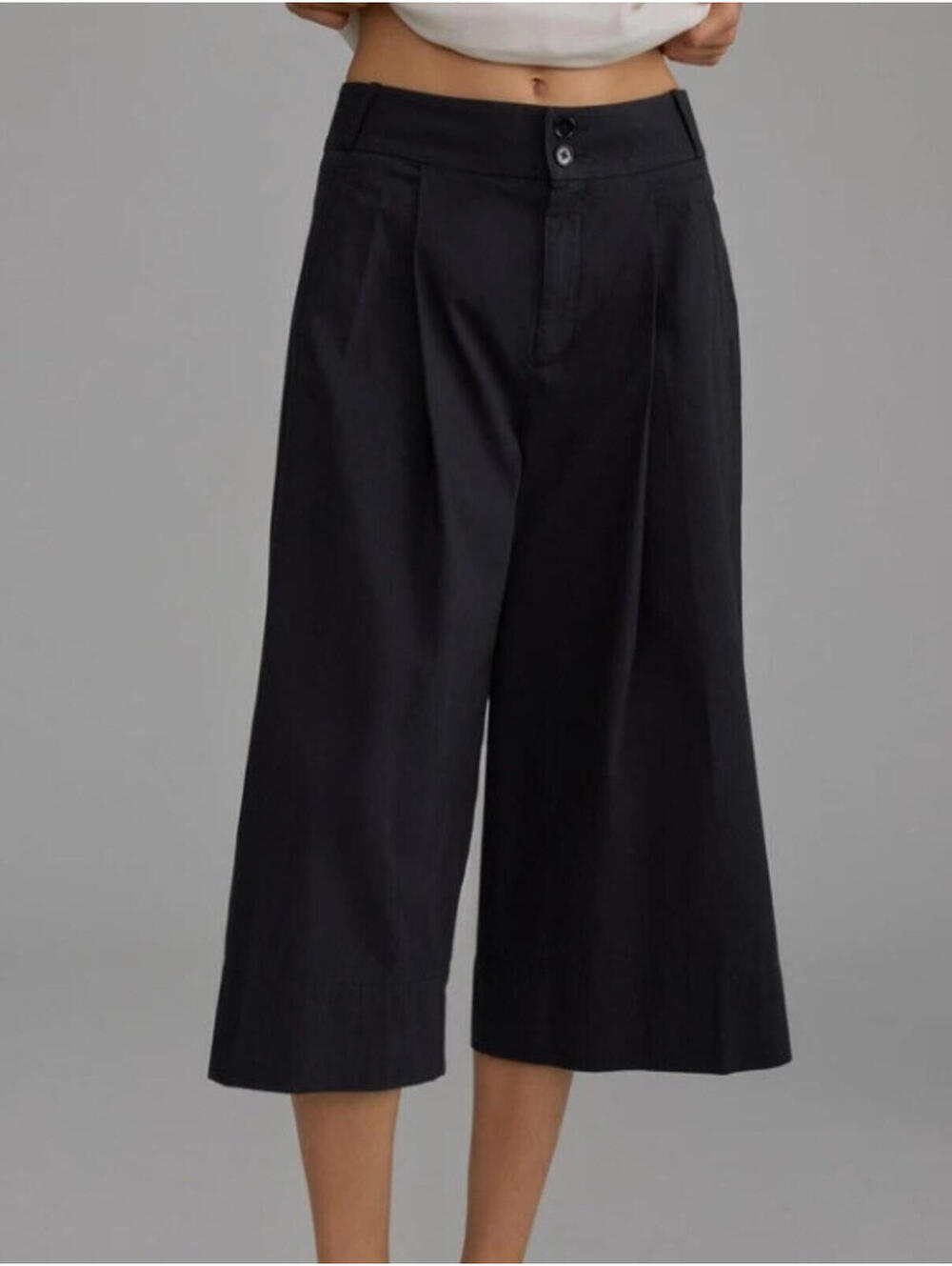 ANTHROPOLOGIE Cropped Wide Leg Trousers, $118, NWT, Size 16, #2582